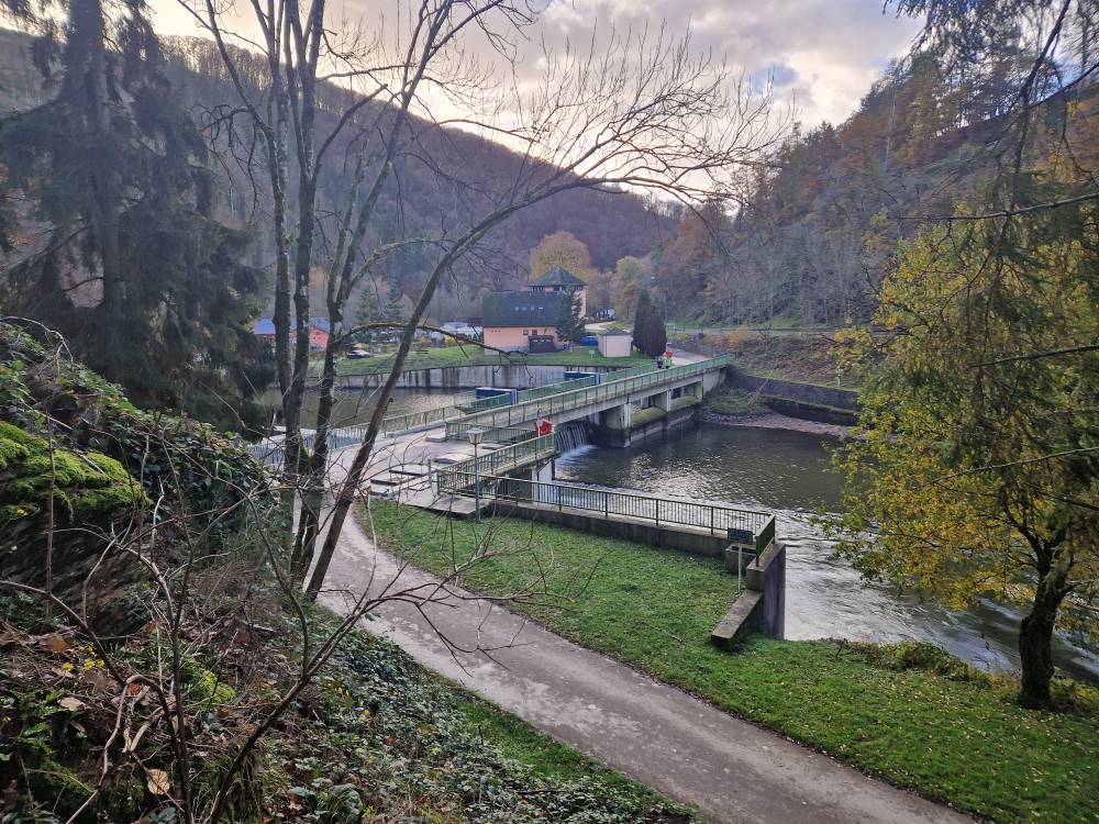 Uewersauer_37