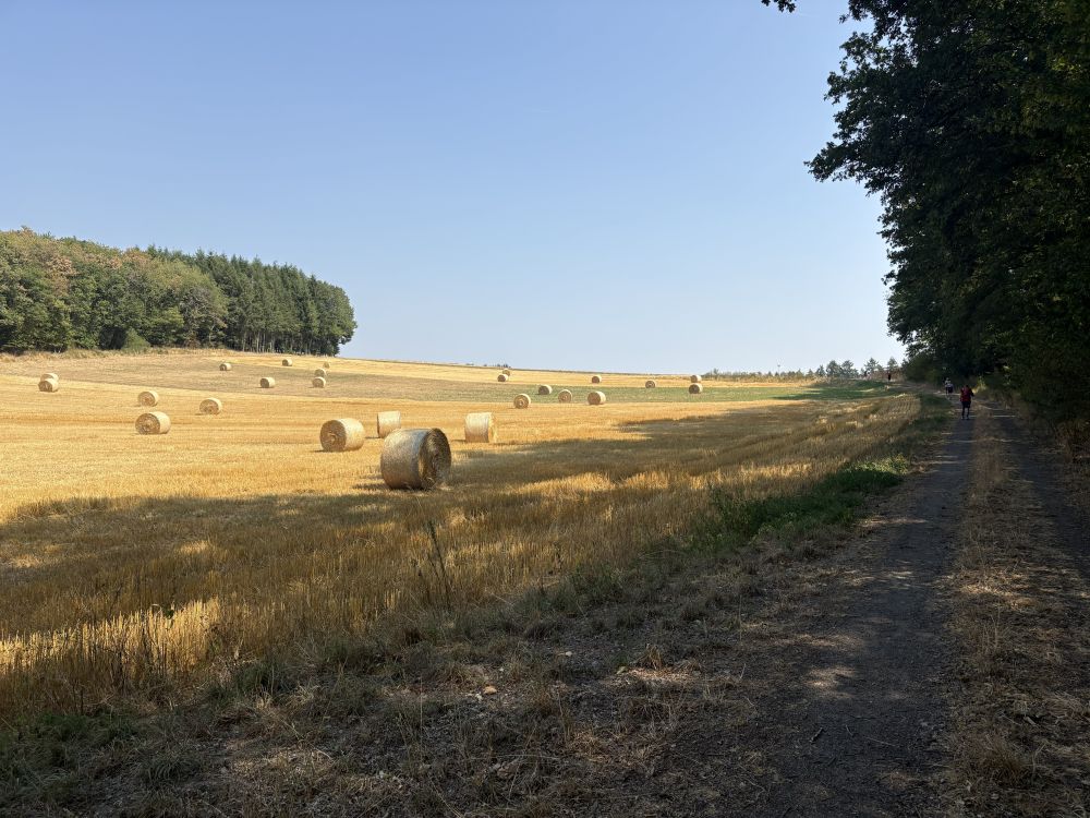 Hunsbuckel_54