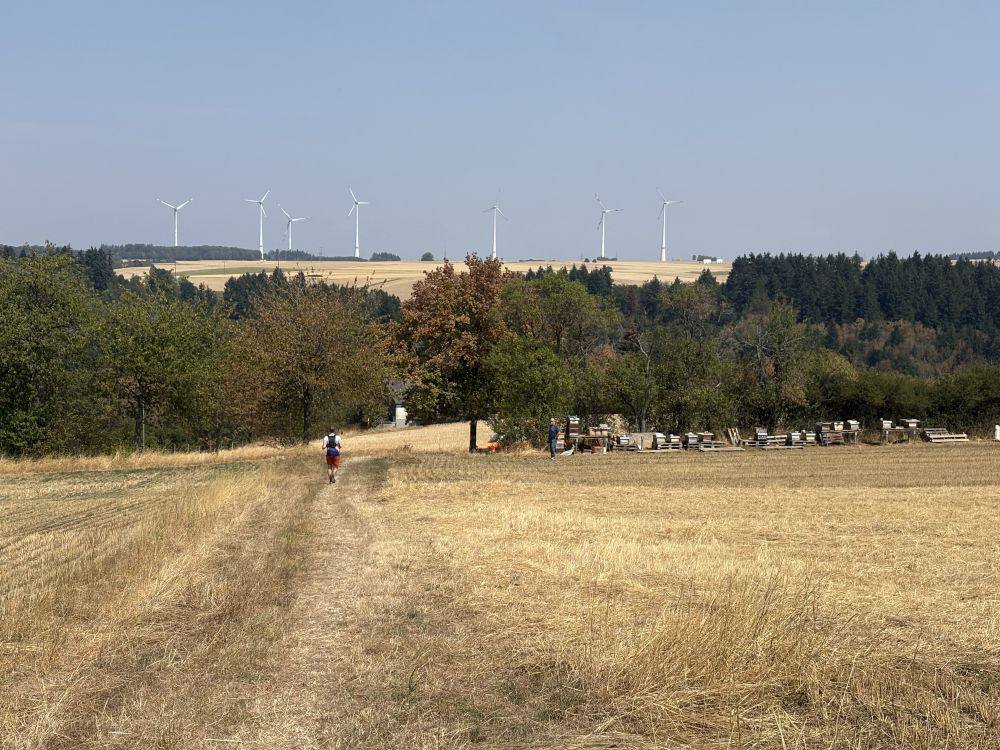 Hunsbuckel_60