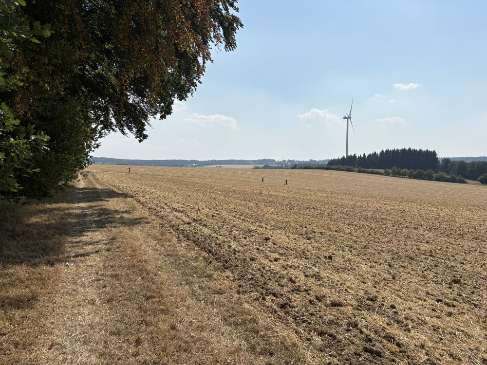Hunsbuckel_64