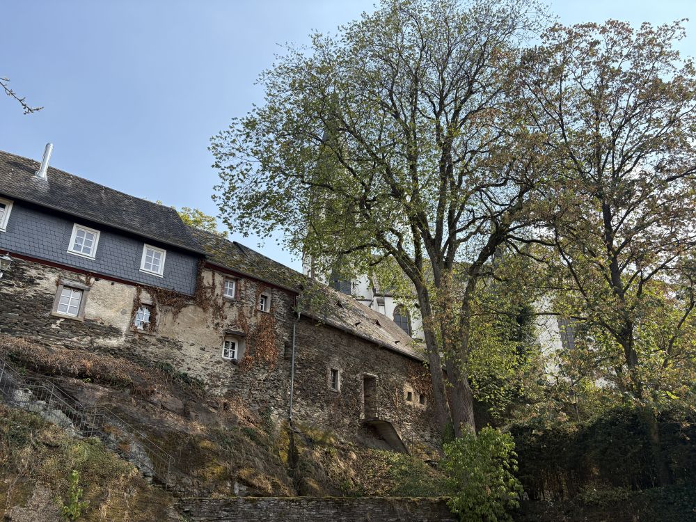 Hunsbuckel_70