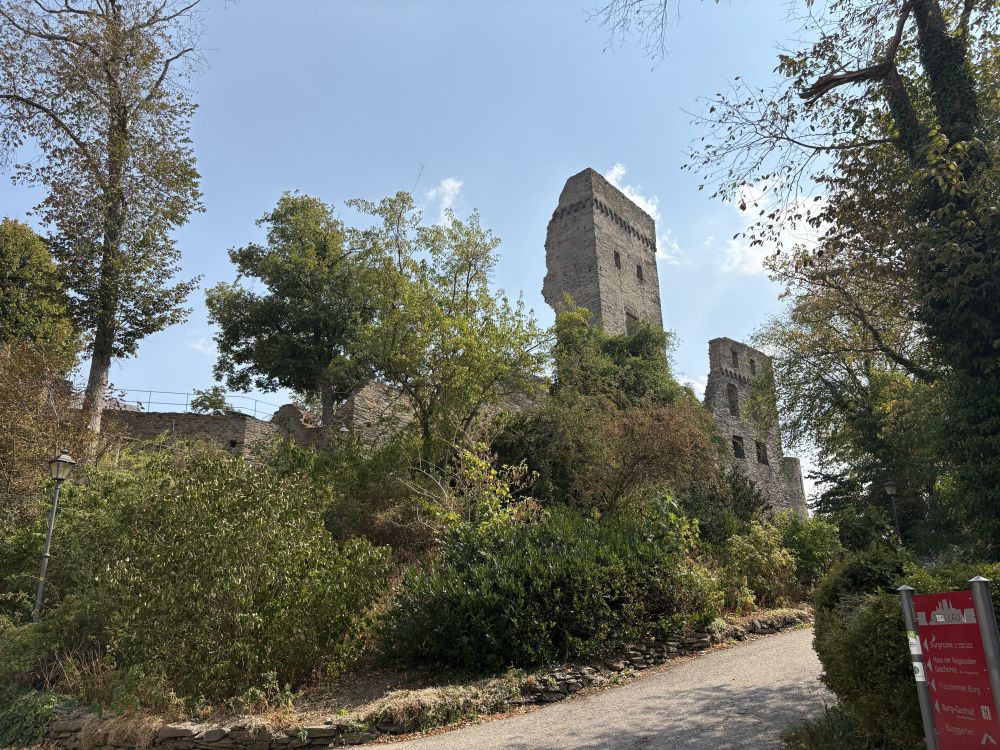 Hunsbuckel_71